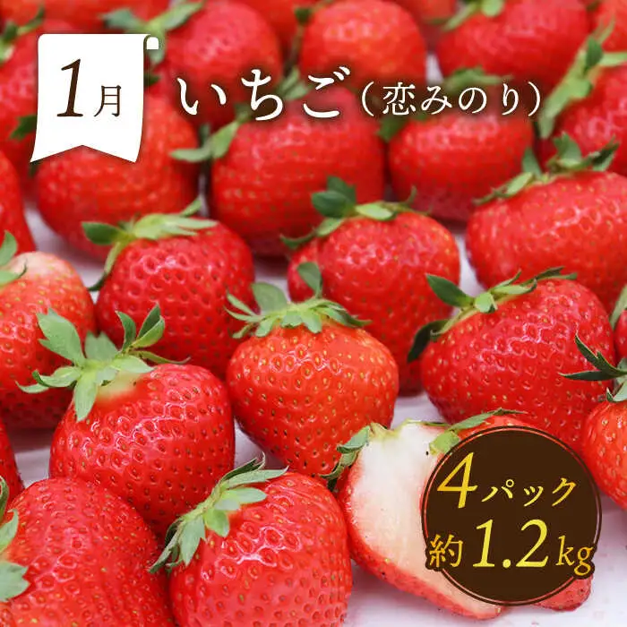 【6回定期便 奇数月コース】フルーツ 定期便 [SDZ021]