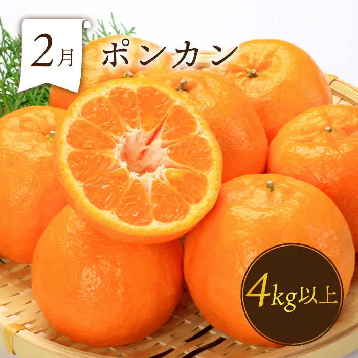【6回】フルーツ定期便 旬のフルーツ [SDZ022]