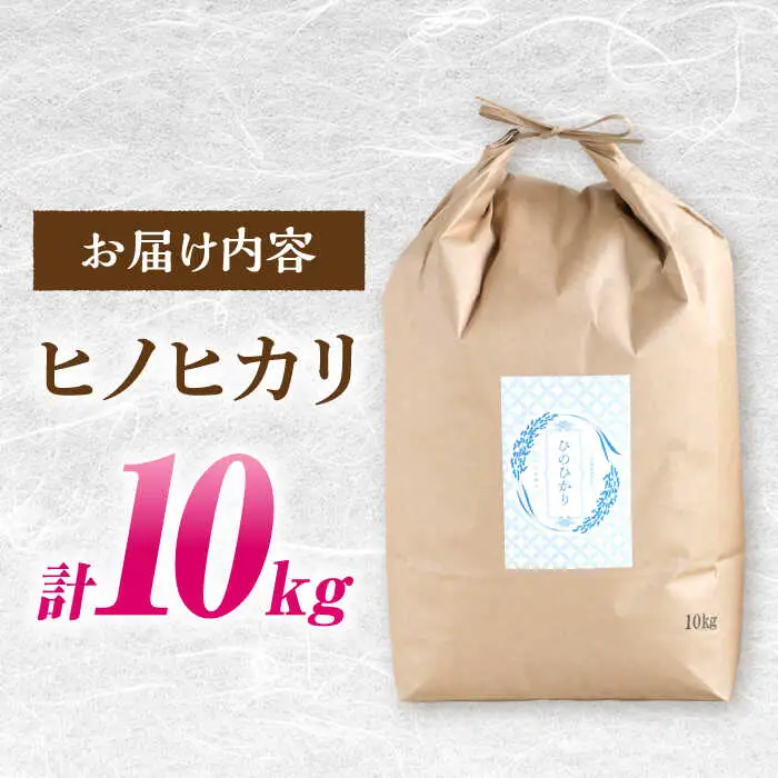 ヒノヒカリ 10kg / ひのひかり 米 お米 こめ コメ 精米 / 南島原市 / 林田米穀店 [SCO001]