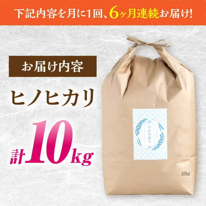 ヒノヒカリ 10kg×6回 定期便 / ひのひかり 米 お米 こめ コメ 精米 / 南島原市 / 林田米穀店 [SCO002]