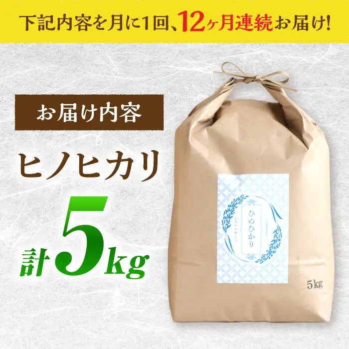 ヒノヒカリ 5kg×12回 定期便 / ひのひかり 米 お米 こめ コメ 精米 / 南島原市 / 林田米穀店 [SCO003]