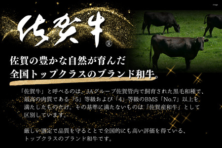 佐賀牛ロースステーキ６００ｇ：B335-010
