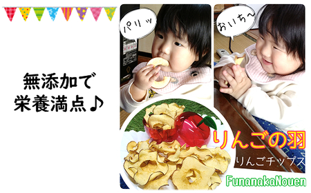【野菜ソムリエサミット金賞受賞】 りんごの羽（無添加・ノンフライりんごチップス） 3袋 & 完熟りんご100％ジュース 4本詰合せ 『船中農園』 山形県 南陽市 [1460]