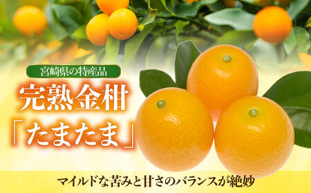 【先行予約】串間市産 完熟きんかん「たまたま」1kg（1kg×1箱）_K001-019