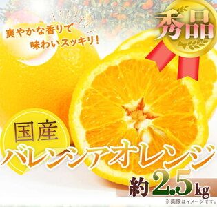 【2027年先行予約】希少な 国産 バレンシアオレンジ 2.5kg 秀品_G7078