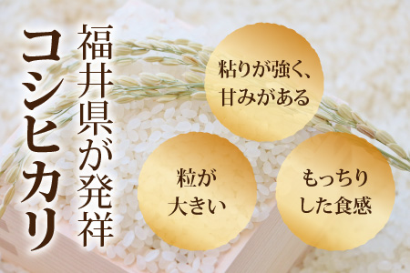 3ヶ月定期便 玄米 令和7年度産 永平寺町産 農薬不使用・化学肥料不使用 特別栽培米 コシヒカリ 5kg×3ヶ月 計15kg  ５キロ 5kg 米  米 お米 コメ 送料無料 こしひかり 福井