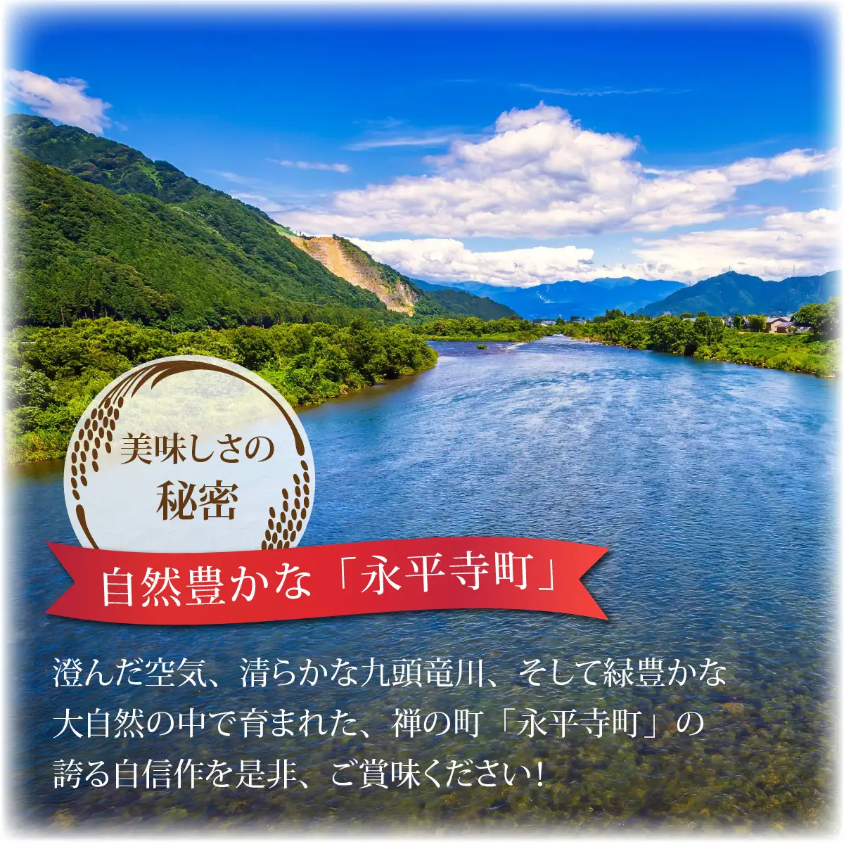 【3ヶ月定期便】【玄米】 令和8年度産　新米 永平寺町産 農薬不使用・化学肥料不使用 特別栽培米 コシヒカリ 10kg×3ヶ月 計30kg 10月上旬より順次発送 １０キロ 10kg 米  米 お米 コメ 送料無料 こしひかり 福井 [H-033070]
