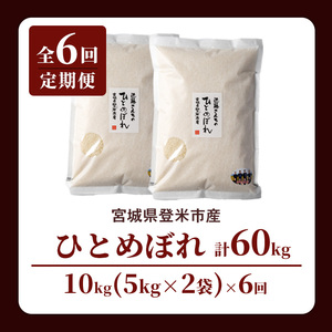 【6回定期便】≪令和8年産≫ ひとめぼれ 精米 計60kg(10kg×6回) 宮城県登米市産 お米 おこめ 米 コメ 白米 ご飯 ごはん おにぎり お弁当 6か月 頒布会【株式会社近藤農産】tm498