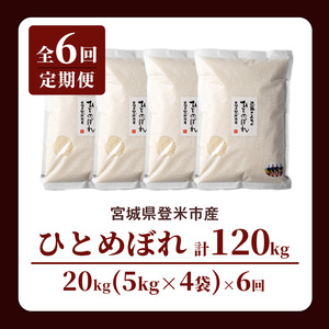 【6回定期便】≪令和8年産≫ ひとめぼれ 精米 計120kg(20kg×6回) 宮城県登米市産 お米 おこめ 米 コメ 白米 ご飯 ごはん おにぎり お弁当 6か月 頒布会【株式会社近藤農産】tm500