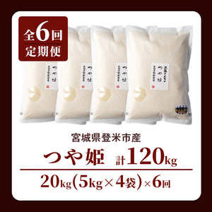 【6回定期便】≪令和8年産≫ つや姫 精米 計120kg(20kg×6回) 宮城県登米市産 お米 おこめ 米 コメ 白米 ご飯 ごはん おにぎり お弁当 6か月 頒布会【株式会社近藤農産】tm506