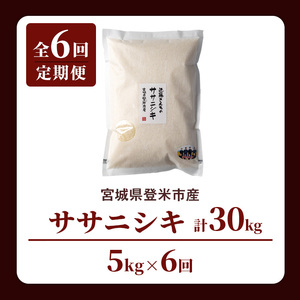【6回定期便】≪令和8年産≫ ササニシキ 精米 計30kg(5kg×6回) 宮城県登米市産 お米 おこめ 米 コメ 白米 ご飯 ごはん おにぎり お弁当 6か月 頒布会【株式会社近藤農産】tm509
