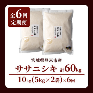 【6回定期便】≪令和8年産≫ ササニシキ 精米 計60kg(10kg×6回) 宮城県登米市産 お米 おこめ 米 コメ 白米 ご飯 ごはん おにぎり お弁当 6か月 頒布会【株式会社近藤農産】tm510