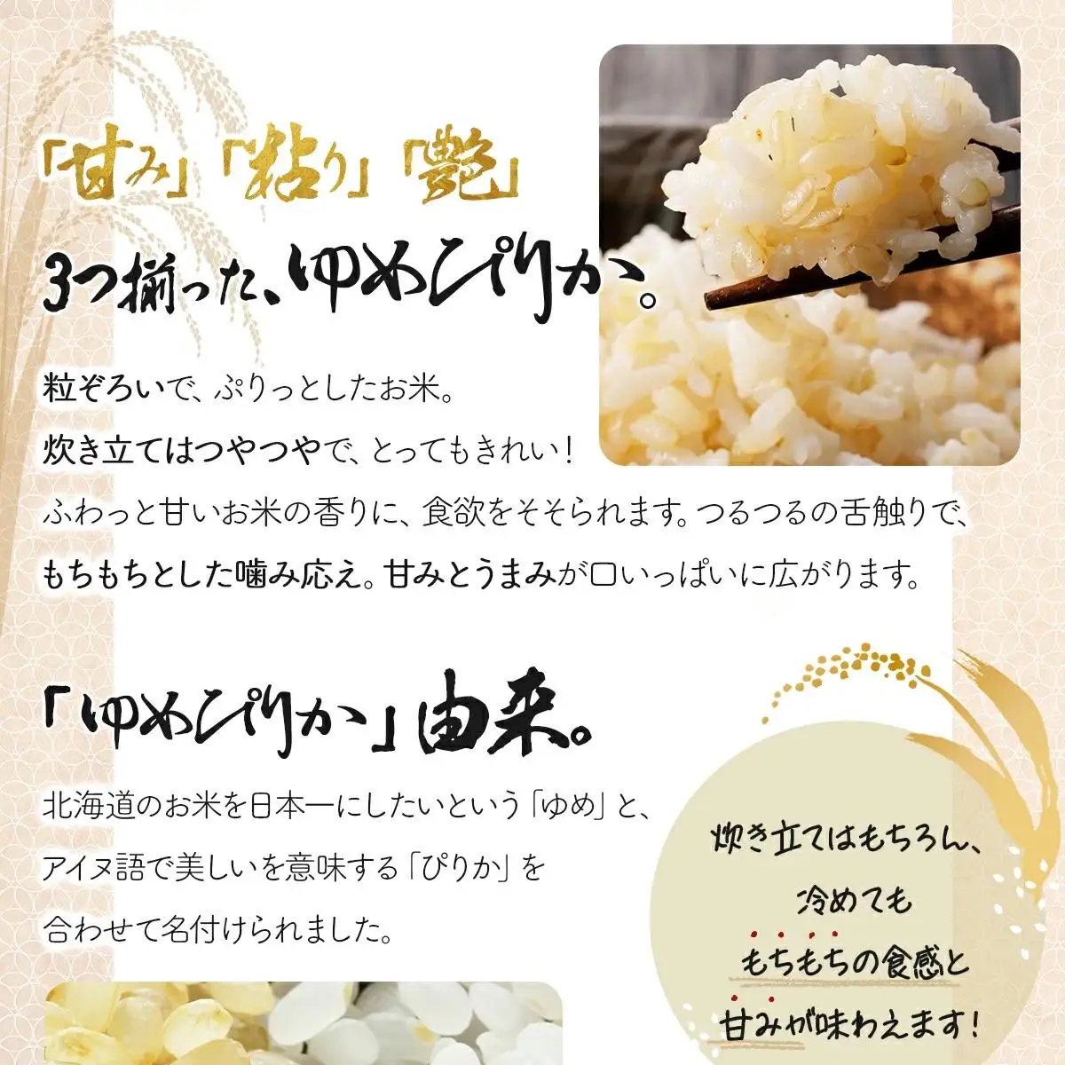 ＜令和8年産＞『100%自家生産玄米』善生さんの自慢の米 玄米ゆめぴりか 20kg｜北海道 岩見沢市 お米 新米【a104-108】【06130】
