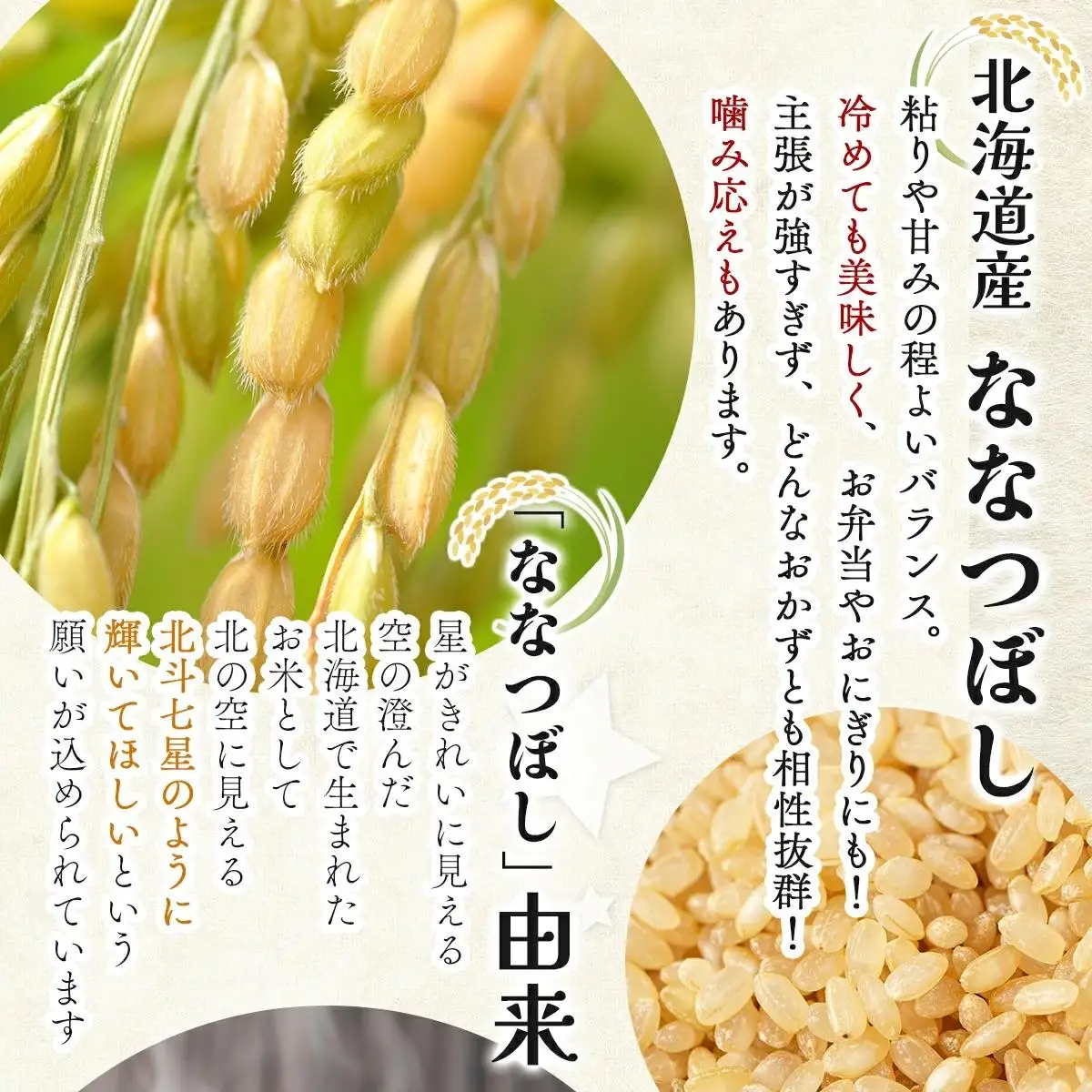 ＜令和8年産＞『100%自家生産玄米』善生さんの自慢の米 玄米ななつぼし 80kg｜北海道 岩見沢市 お米 新米【a104-092】【06144】