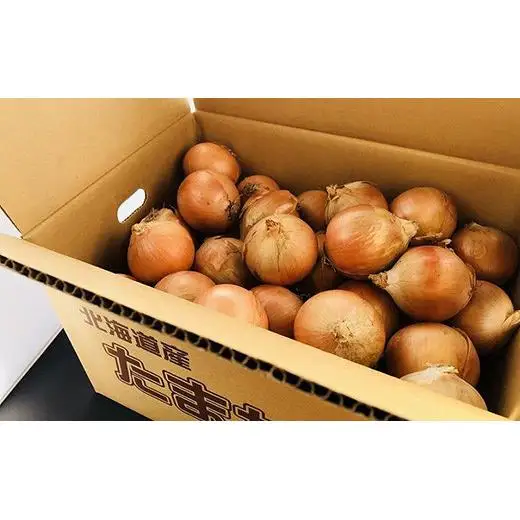 北海道岩見沢市産 玉ねぎMサイズ10kg【09126】