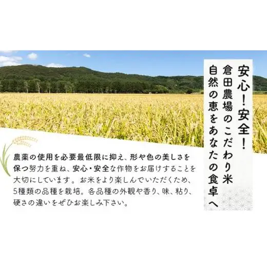 5ヶ月定期便 令和6年産北海道岩見沢産米 ななつぼし精米5kg 計25kg≪沖縄・離島配送不可≫【35041】