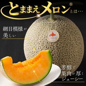 【2026年7月下旬から発送】とままえメロン 2玉 計3.2kg前後 大玉サイズ 北海道産 先行 予約 受付 赤肉 甘い 糖度14度 旬 産地直送 めろん フルーツ 果物 デザート 北海道 苫前町 とままえ rum09