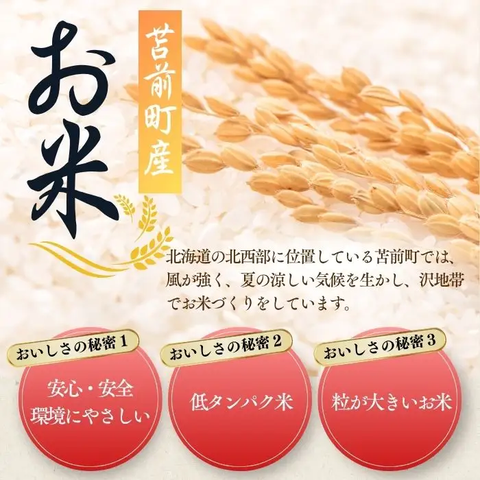 【令和8年産 新米先行受付】 北海道とままえ産 ゆめぴりか 5kg 米 お米 北海道産 北海道米 特Aランク 国産 白米 コメ 北海道 苫前町 とままえ rum22