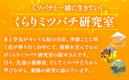6月のはちみつ 540g KURARI くらりミツバチ研究室《90日以内に出荷予定(土日祝除く)》和歌山県 紀の川市 蜂蜜 ハチミツ 非加熱 純正生はちみつ トースト ヨーグルト st-p