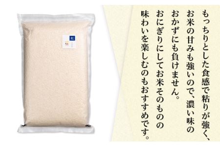 米 にじのきらめき 13kg (5kg×2袋+3kg)【茨城県下妻市産】【米 にじのきらめき 米 茨城 米 茨城県産 米 産地直送 米 JA 新品種 おにぎり お弁当 精米 ストック お米 もちもち 人気 おすすめ】