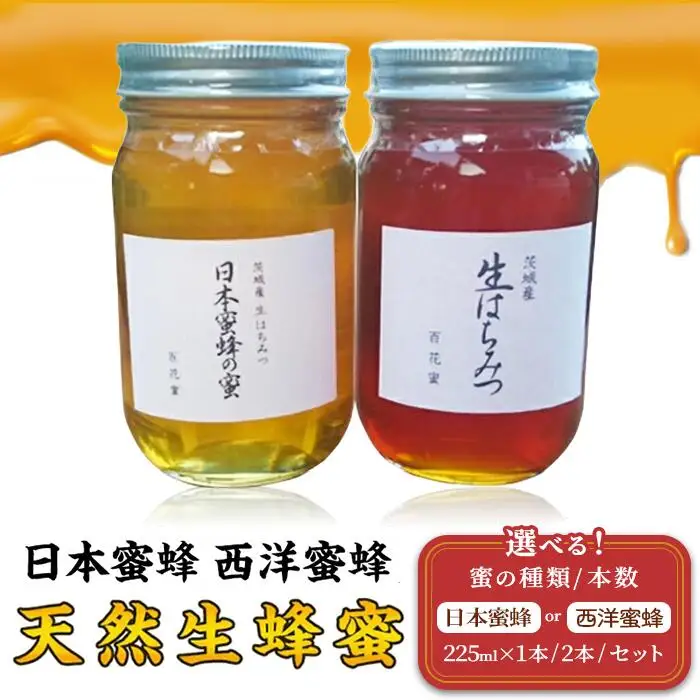 蜂蜜 2本 西洋蜜蜂 6月ごろ発送 はちみつ 生蜂蜜