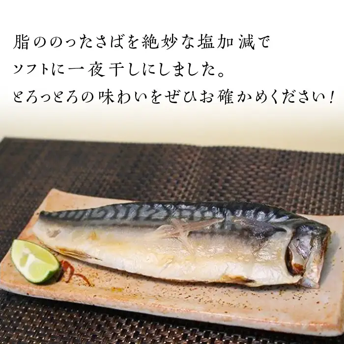 サバ 茨城限定 極上干物 大トロさば文化干し 定期品 3ヶ月 【茨城県共通返礼品/神栖市】