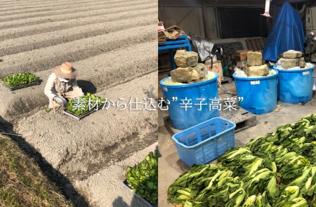 CM008_絶品！！ラーメン屋が作る旨辛辛子高菜と肉汁溢れるジューシー餃子セット(辛子高菜150g×5袋、餃子12個入×5パック)