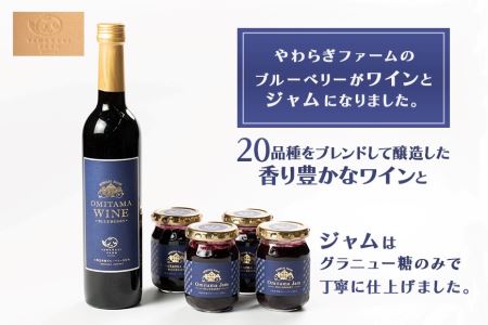 小美玉ブルーベリーワイン1本＆ブルーベリージャム4個セット ブルーベリー ワイン ブルーベリーワイン ジャム ブルーベリージャム フルーツ 果物 ビタミンE アントシアニン 栄養 目にいい 健康 美容 ギフト 贈り物 茨城県産 プレゼント セット お酒 9-B