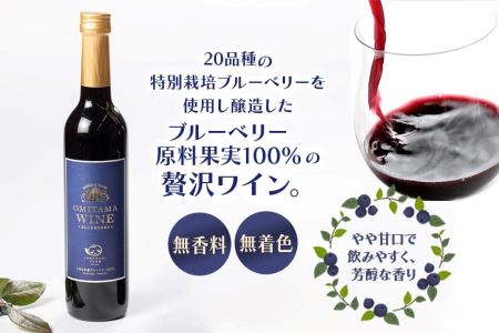 小美玉ブルーベリーワイン2本セット ブルーベリー ワイン ブルーベリーワイン フルーツ 果物 ビタミンE アントシアニン 栄養 目にいい 健康 美容 ギフト 贈り物 茨城県産 プレゼント セット お酒 美味しい お祝い 9-F