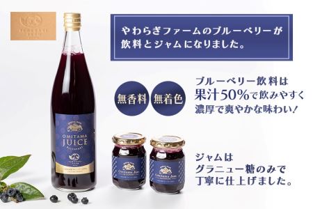 果汁50％ブルーベリー飲料2本＆ブルーベリージャム3個セット ブルーベリー ジュース ジャム ブルーベリージャム ブルーベリージュース フルーツ ビタミンE ドリンク 栄養 目にいい 美容 ギフト 贈り物 茨城県産 セット 詰め合わせ お祝い 美味しい 9-G