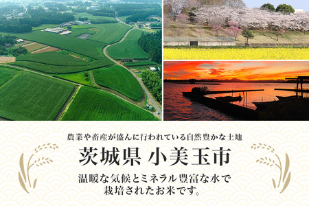 【 令和7年産 】小美玉産 コシヒカリ 10kg こしひかり 米 10キロ お米 白米 国産 ごはん おにぎり 弁当 茨城県 小美玉市 17-K