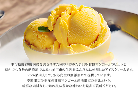 おみたまSUNマンゴーアイスクリーム プレミアム 100g × 8個入り 甘熟マンゴー 限定 ギフト あいす スイーツ デザート 生乳 ミルク 牛乳 国産 茨城県産 19-E