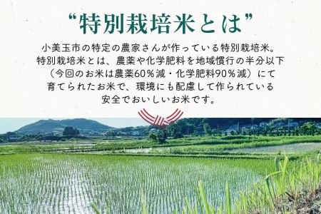 コシヒカリ 5kg 12ヶ月定期便 こしひかり 5キロ 令和5年産 お米 特別栽培米 ご飯 白米 減農薬 茨城県産米 茨城産米 精米 令和5年産米 国産国消 お祝い 内祝い ギフト 令和5年産の小美玉産特別栽培米コシヒカリ5kgを1年間（12ヶ月間）毎月お届け 22-D