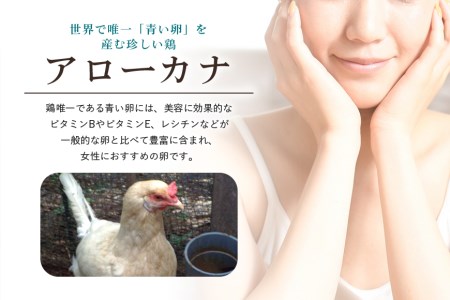 平飼い幸せの青い卵（アローカナの卵）24個（20＋補償4個）×定期便6回 たまご タマゴ 玉子 安全 テレビ TV マニアさん 健康 美容 ご飯 すき焼き 目玉焼き 卵焼き 玉子焼き たまご焼き 卵かけご飯 卵かけごはん TKG ＜TBS系列『熱狂！1/365のマニアさん』やBSテレビ東京『都会を出て暮らそうよ』で紹介のうこっけいおみたまごファーム＞ 37-E