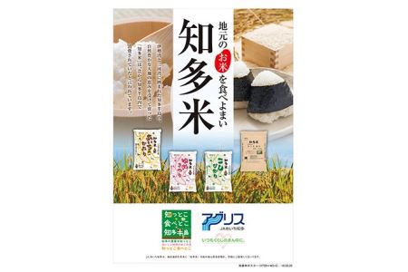 知多米 ゆめまつり5kg お米 白米 うるち米 おこめ 国産 精米 ご飯 おにぎり 朝ごはん ライス 和食 日本食 主食 食卓 お弁当 粘り 食品 新品種 知多半島 お取り寄せ 5キロ 愛知県 知多市 特産品