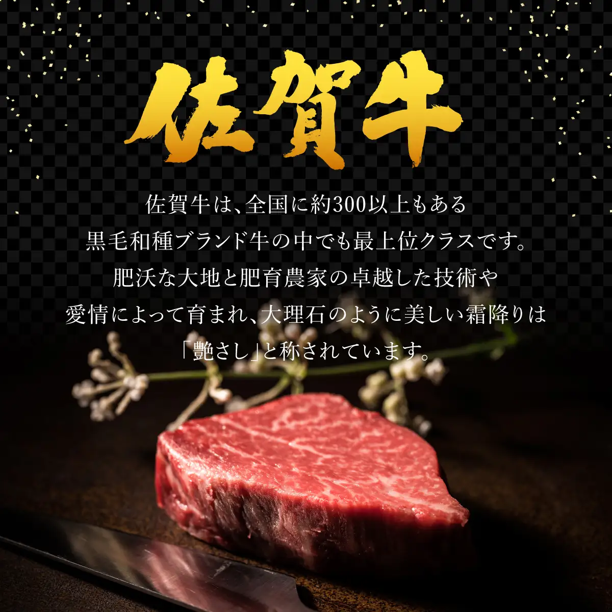 ブランド銘柄「佐賀牛」ヒレステーキ 計360g (180g×2枚)