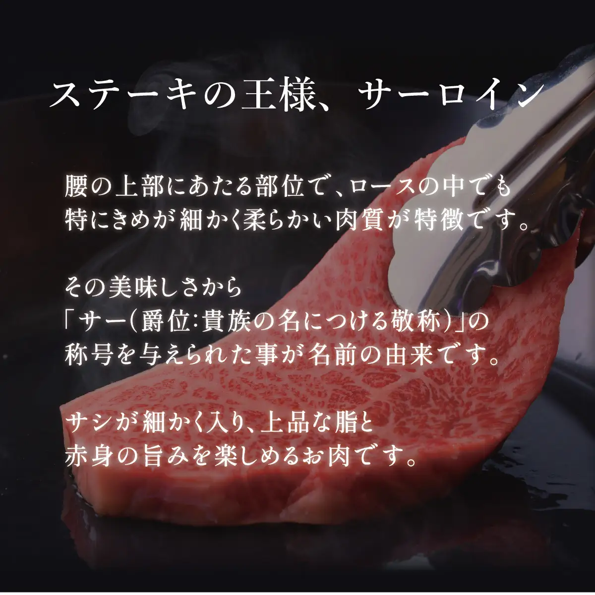 佐賀牛サーロインステーキ 500g (250g×2枚)