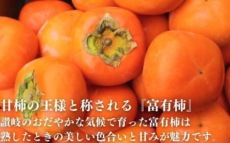 柿 富有柿 約7.5kg カキ カキ 配送：10月中旬～