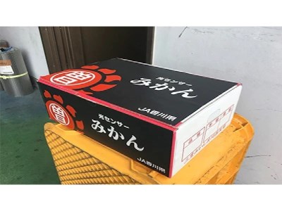 【マル曽】光センサー特選 曽保みかん(約3kg×2箱)