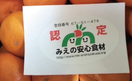 フルーツ みかん 早生 興津 温州 蜜柑 三重県  高品質 みえ アルギット / 2Sサイズ 前元農園の完熟早生(興津)温州みかん 10kg【2026年12月初旬～下旬に順次発送予定】【mmg006B】