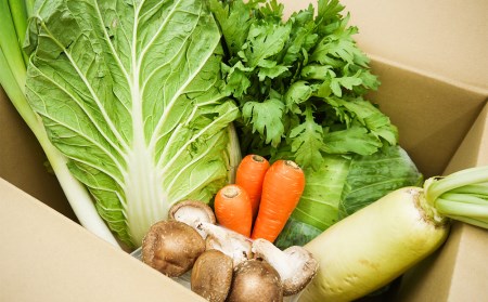 CC005_【鍋約2回分】かずちゃんの厳選おススメ鍋野菜セット 野菜詰め合わせ 旬 新鮮 国産 水炊き 採れたて