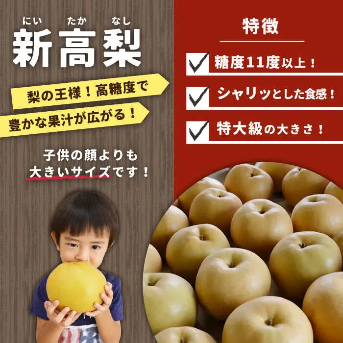 【2026年9月中旬?発送】【シャリッと食感がたまらない！】新高梨 2玉 / 梨 なし 南島原市 / ふるさと企画 [SBA007]