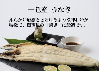 【愛知県三河一色産】活うなぎの白焼き 1尾（約150g）18-25