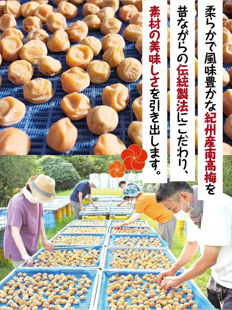 梅干し 無添加 完熟南高梅  2.5kg 塩分約20％ 梅干し【njb647A】