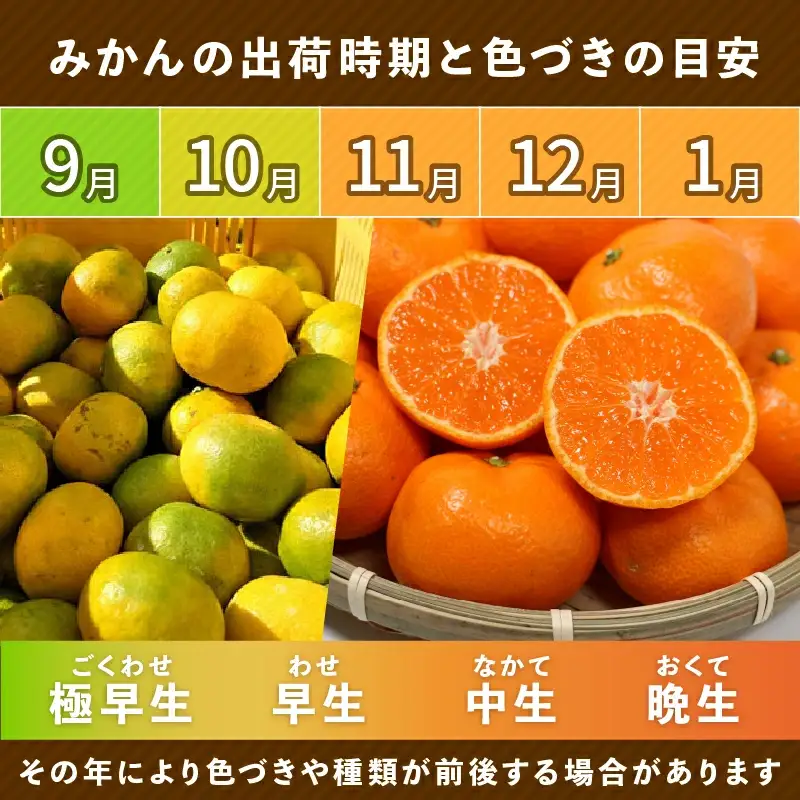 【先行予約】贈答品 愛媛みかん 3kg 傷み補償 250g 清家ばんかんビレッジ