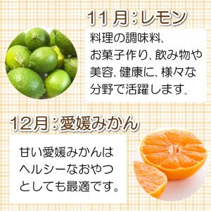 旬の 柑橘類 食べ比べ 定期便 6回 清家ばんかんビレッジ 家庭用 訳あり レモン 愛媛みかん ポンカン 文旦 不知火 河内晩柑 温州みかん 大きさ 不揃い 傷 愛媛県 愛南町 (柑橘定期便 みかん定期便 食べ比べ定期便 定期便 6回 清家ばんかんビレッジ定期便)