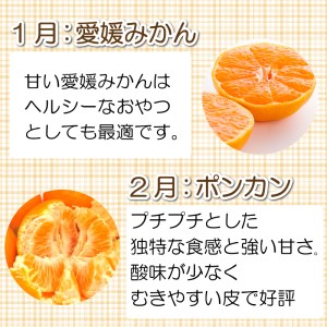 旬の 柑橘類 食べ比べ 4回 清家ばんかんビレッジ みかん 家庭用 訳あり 愛媛みかん ポンカン 不知火 河内晩柑 温州みかん 訳あり みかん 大きさ 不揃い 傷 柑橘 おすすめ 愛媛県 愛南町 訳あり みかん (柑橘定期便 みかん定期便 食べ比べ定期便 4回 清家ばんかんビレッジ定期便) 訳あり みかん