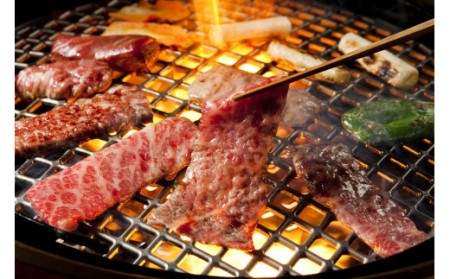 阿波黒牛（牛モモ焼肉＆切り落とし）600g　(牛モモ200ｇ|切り落とし400g)　　阿波黒牛　国産牛　高級　モモ肉　切り落とし　セット　ギフト　敬老の日　お歳暮　すき焼き　肉じゃが　カレー　　牛丼　炒め物　焼肉　切り落とし