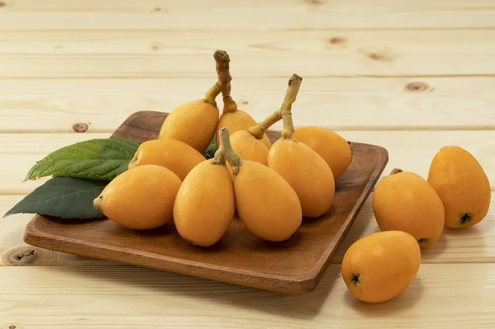 長崎びわ「なつたより」1kg＜先行予約／数量限定＞｜びわ