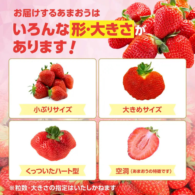【2027年3月配送開始】福岡・博多名物ブランドいちご「あまおう」4パック 合計約1,080g ＜配送不可：北海道・沖縄・離島＞ 072-137